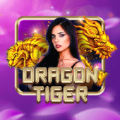 Dragon Tiger Zone Casino live game